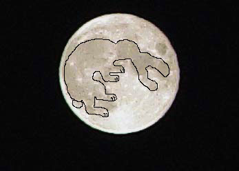 hare-in-moon.jpg
